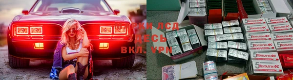 spice Алзамай