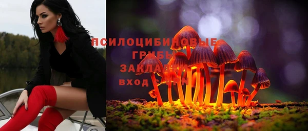 spice Алзамай