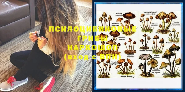 таблы Алексин