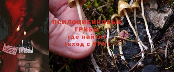 таблы Алексин