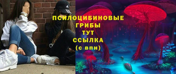 spice Алзамай